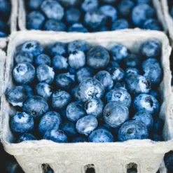 Blueberries Fruit