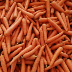 Carrot Vegetables