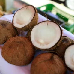 Coconut Fruit