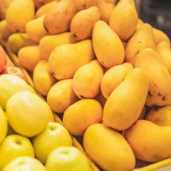 Mango Fruit
